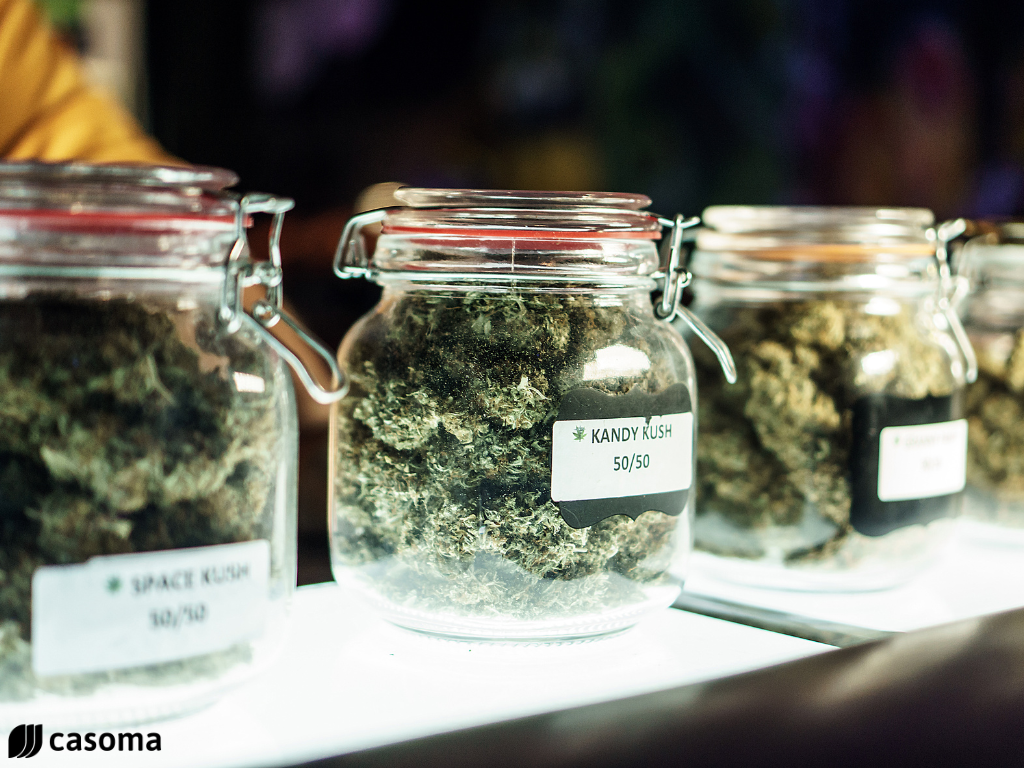 Cannabis-Social-Club-Kosten-Was-kostet-der-Beitritt-und-das-Cannabis